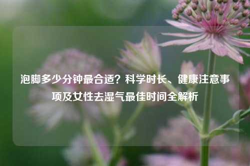 泡脚多少分钟最合适?科学时长、健康注意事项及女性去湿气更佳时间全解析