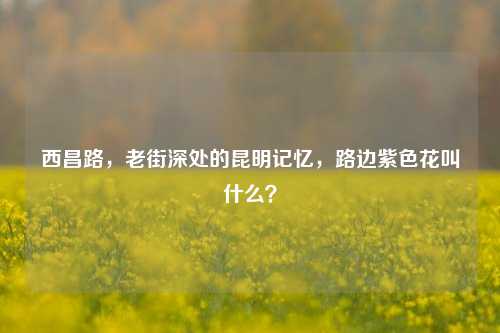 西昌路,老街深处的昆明记忆,路边紫色花叫什么?