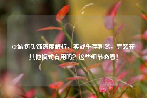 CF减伤头饰深度解析,实战生存利器,套装在其他模式有用吗?这些细节必看!