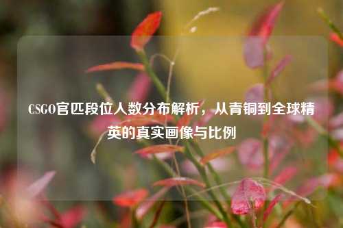 CSGO官匹段位人数分布解析,从青铜到全球精英的真实画像与比例