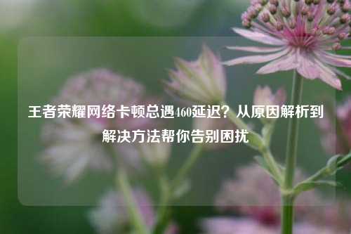 王者荣耀 卡顿总遇460延迟?从原因解析到解决 帮你告别困扰