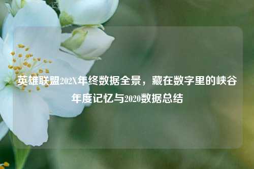 英雄联盟202X年终数据全景,藏在数字里的峡谷年度记忆与2020数据总结