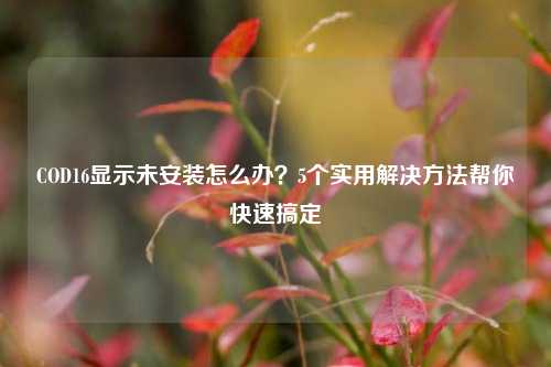 COD16显示未安装怎么办?5个实用解决 帮你快速搞定