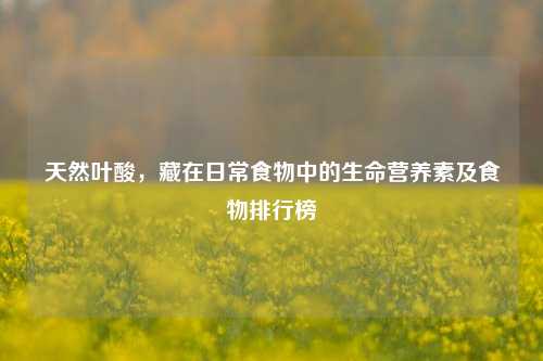 天然叶酸,藏在日常食物中的生命营养素及食物排行榜