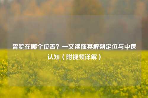 胃脘在哪个位置?一文读懂其解剖定位与中医认知(附视频详解)
