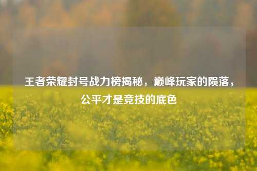 王者荣耀封号战力榜揭秘,巅峰玩家的陨落,公平才是竞技的底色