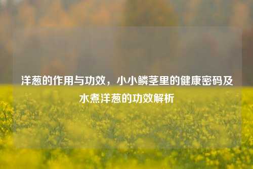 洋葱的作用与功效,小小鳞茎里的健康密码及水煮洋葱的功效解析