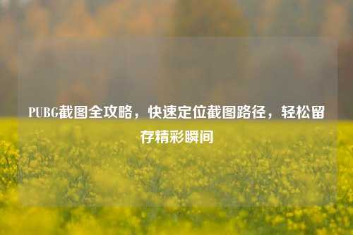 PUBG截图全攻略,快速定位截图路径,轻松留存精彩瞬间