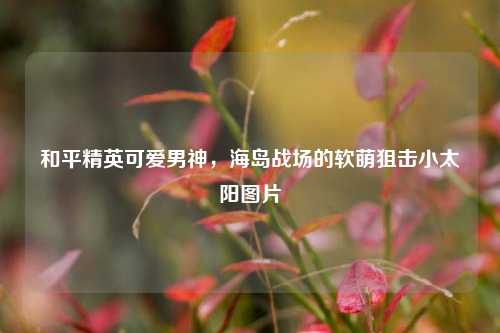 和平精英可爱男神,海岛战场的软萌狙击小太阳图片