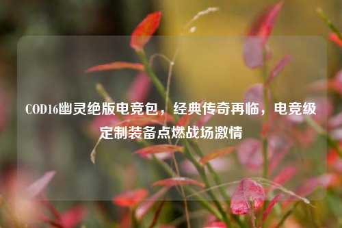 COD16幽灵绝版电竞包,经典传奇再临,电竞级定制装备点燃战场***