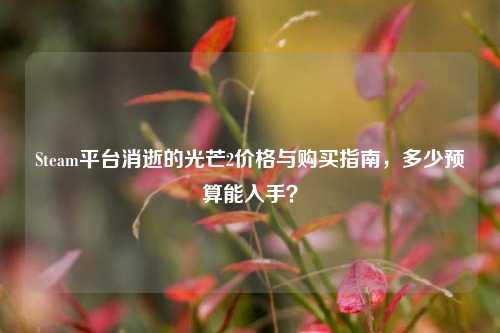 Steam平台消逝的光芒2价格与购买指南,多少预算能入手?