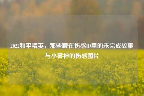 2022和平精英,那些藏在伤感ID里的未完成故事与小雾神的伤感图片