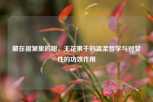 藏在褶皱里的甜,无花果干的温柔哲学与对女性的功效作用