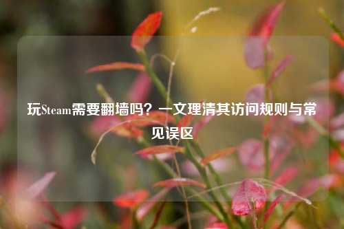 玩Steam需要翻墙吗?一文理清其访问规则与常见误区