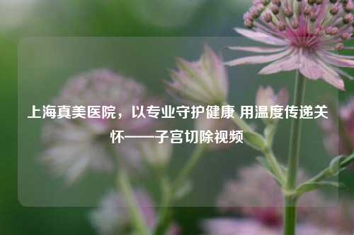 上海真美医院,以专业守护健康 用温度传递关怀——***切除视频