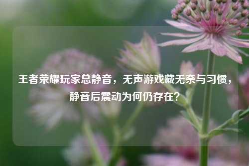 王者荣耀玩家总静音,无声游戏藏无奈与习惯,静音后震动为何仍存在?