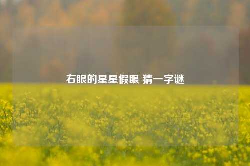 右眼的星星假眼 猜一字谜