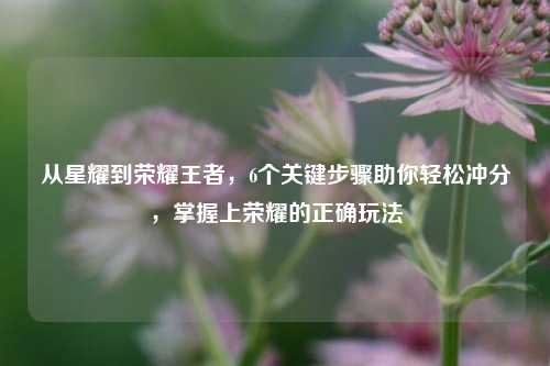从星耀到荣耀王者,6个关键步骤助你轻松冲分,掌握上荣耀的正确玩法