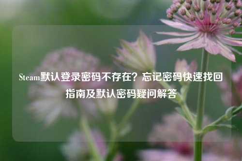 Steam默认登录密码不存在?忘记密码快速找回指南及默认密码疑问解答