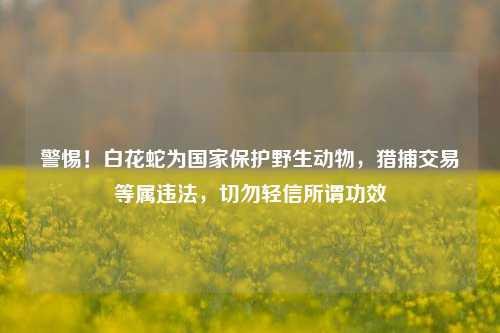 警惕!白花蛇为国家保护野生动物,猎捕交易等属违法,切勿轻信所谓功效