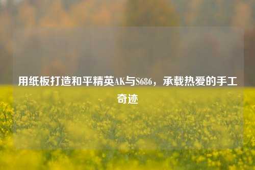 用纸板打造和平精英AK与S686,承载热爱的手工奇迹
