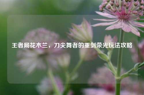 王者局花木兰,刀尖舞者的重剑荣光玩法攻略