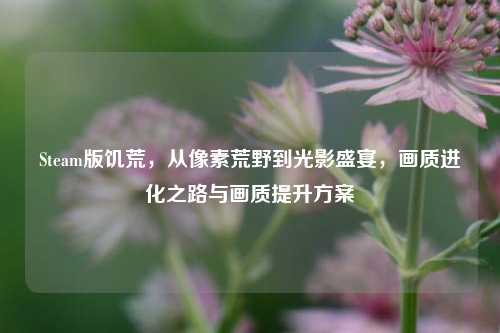 Steam版饥荒,从像素荒野到光影盛宴,画质进化之路与画质提升方案
