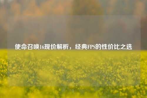 使命召唤16现价解析,经典FPS的性价比之选