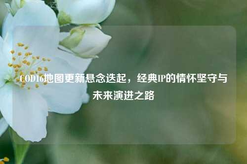 COD16地图更新悬念迭起,经典IP的情怀坚守与未来演进之路
