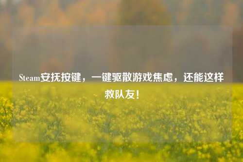 Steam安抚按键,一键驱散游戏焦虑,还能这样救队友!