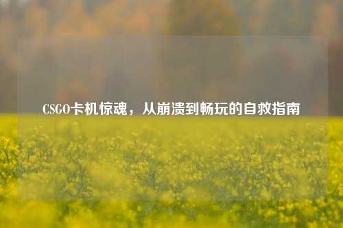 CSGO卡机惊魂,从崩溃到畅玩的自救指南