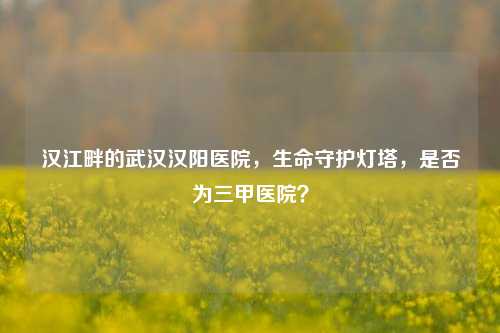 汉江畔的武汉汉阳医院,生命守护灯塔,是否为三甲医院?