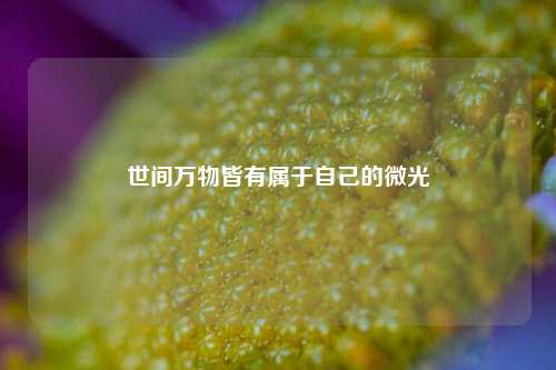 世间万物皆有属于自己的微光