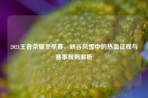 2021王者荣耀冬季赛,峡谷风雪中的热血征程与赛事规则解析