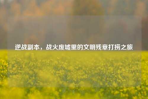 逆战副本,战火废墟里的文明残章打捞之旅