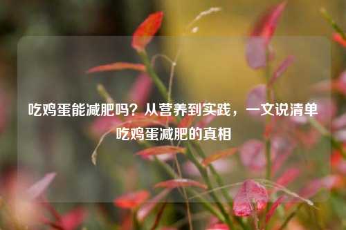 吃鸡蛋能减肥吗?从营养到实践,一文说清单吃鸡蛋减肥的真相
