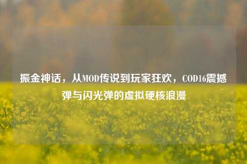 振金神话,从MOD传说到玩家狂欢,COD16震撼弹与闪光弹的虚拟硬核浪漫
