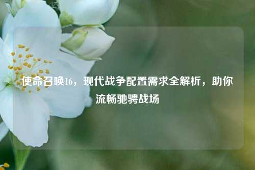 使命召唤16,现代战争配置需求全解析,助你流畅驰骋战场