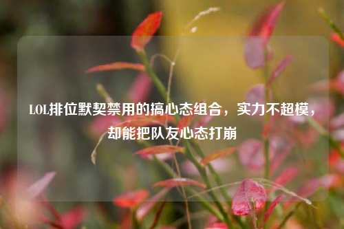 LOL排位默契禁用的搞心态组合,实力不超模,却能把队友心态打崩