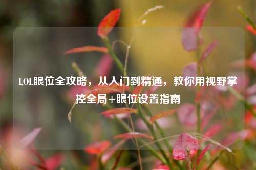 LOL眼位全攻略,从入门到精通,教你用视野掌控全局+眼位设置指南