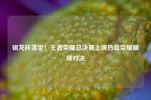 银龙杯落定!王者荣耀总决赛上演热血荣耀巅峰对决