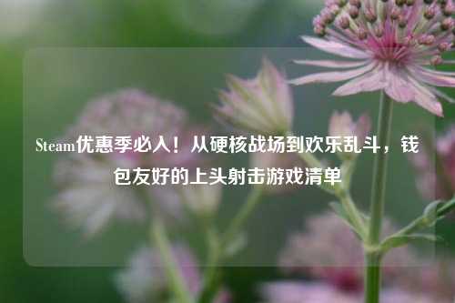 Steam优惠季必入!从硬核战场到欢乐乱斗,钱包友好的上头射击游戏清单