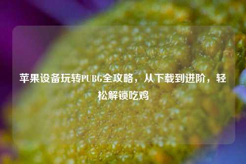 苹果设备玩转PUBG全攻略,从下载到进阶,轻松解锁吃鸡