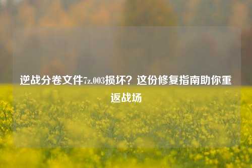 逆战分卷文件7z.003损坏?这份修复指南助你重返战场