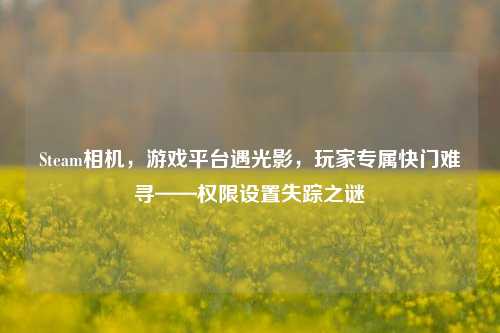 Steam相机,游戏平台遇光影,玩家专属快门难寻——权限设置失踪之谜