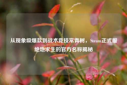 从现象级爆款到战术竞技常青树,Steam正式服绝地求生的官方名称揭秘