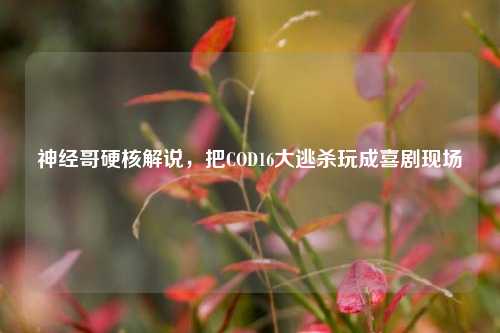 神经哥硬核解说,把COD16大逃杀玩成喜剧现场