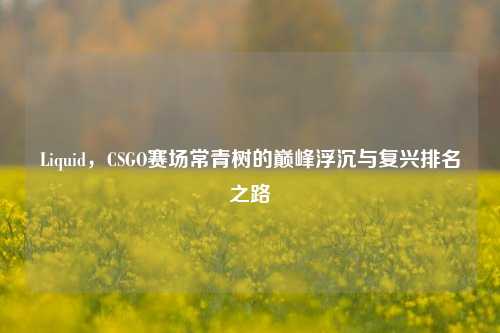 Liquid,CSGO赛场常青树的巅峰浮沉与复兴排名之路