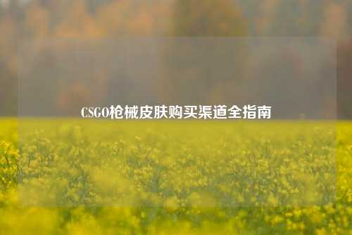 CSGO枪械皮肤购买渠道全指南