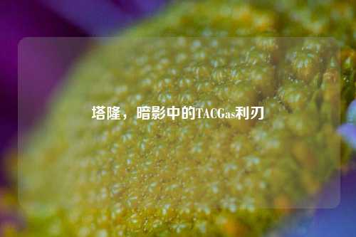 塔隆,暗影中的TACGas利刃